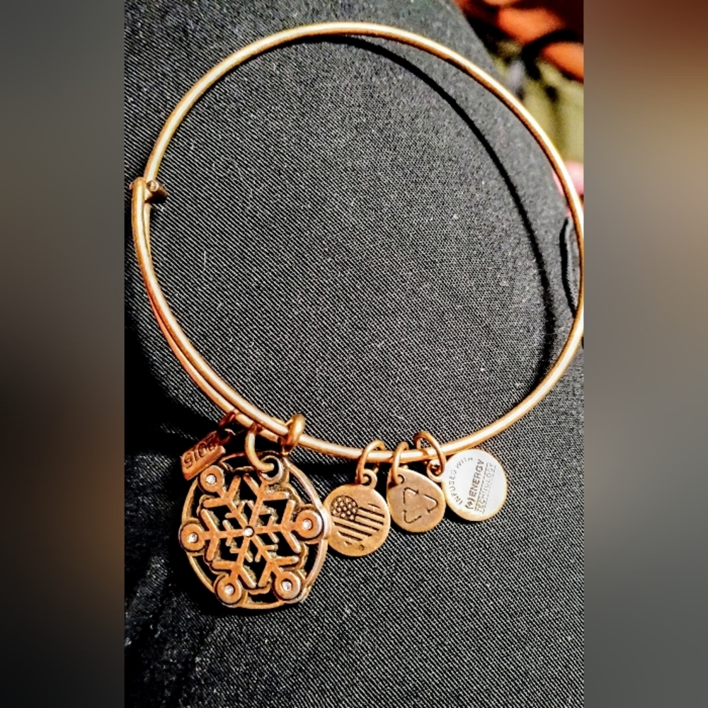 Alex and Ani Gold Charm Bracelet with Adjustable Wire Design